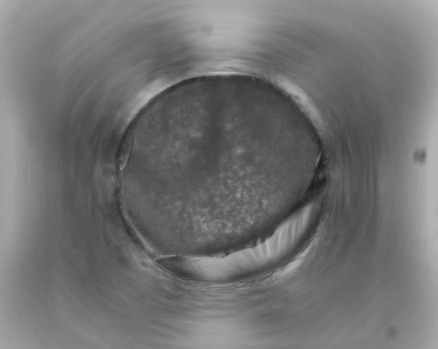 X0000093151457200710241353