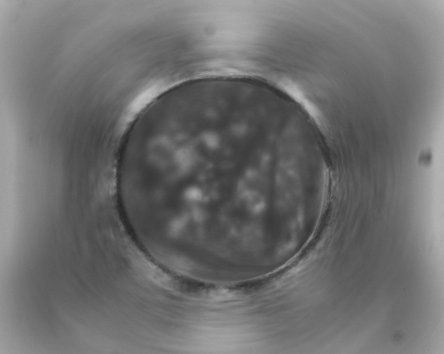 X0000093151459200710241353