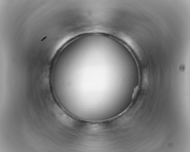 X0000093151460200710241353