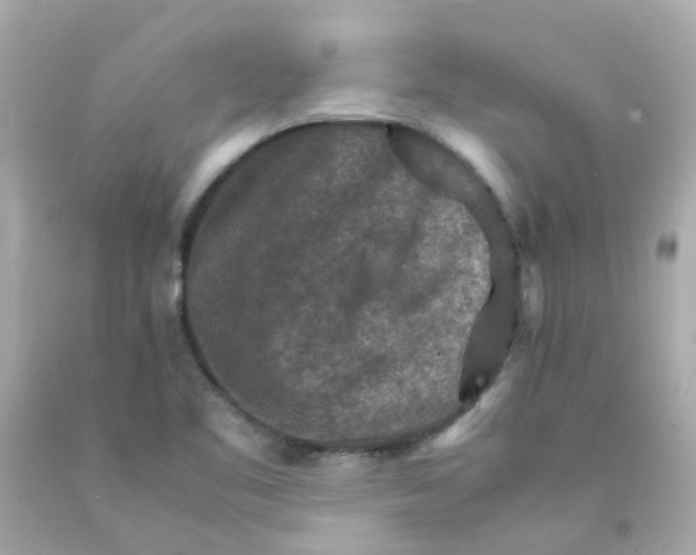 X0000093151461200710241353