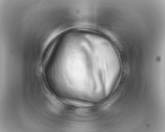 X0000093151462200710241353