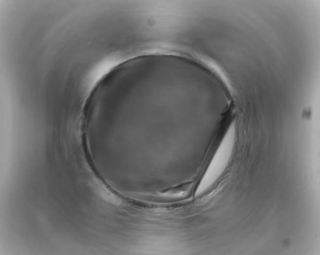 X0000093151463200710241353