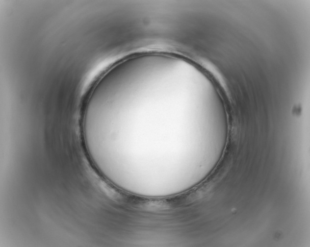 X0000093151464200710241353