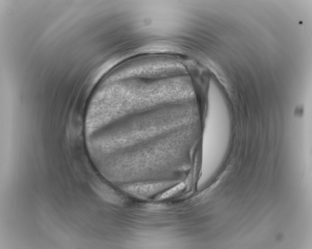 X0000093151465200710241353