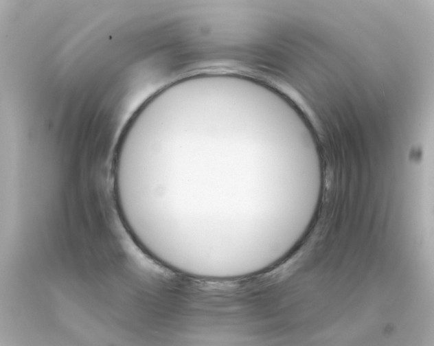 X0000093151466200710241352