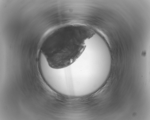 X0000093151467200710241352