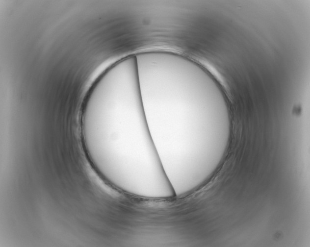 X0000093151468200710241352