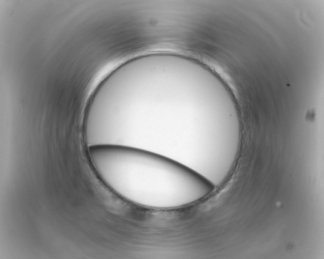 X0000093151469200710241352