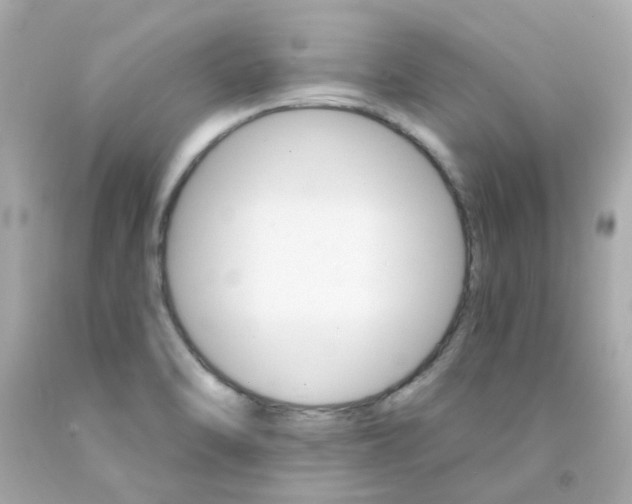 X0000093151470200710241352