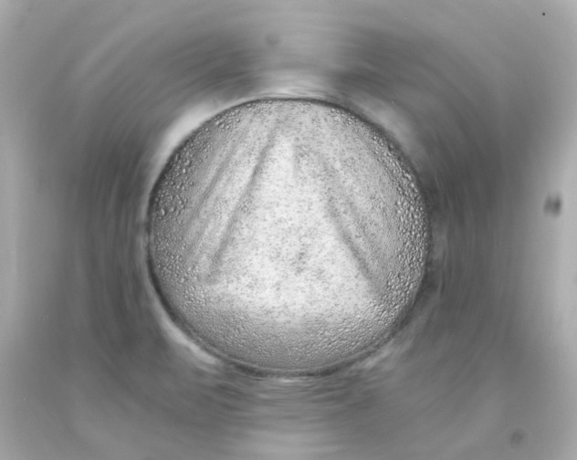 X0000093151471200710241352