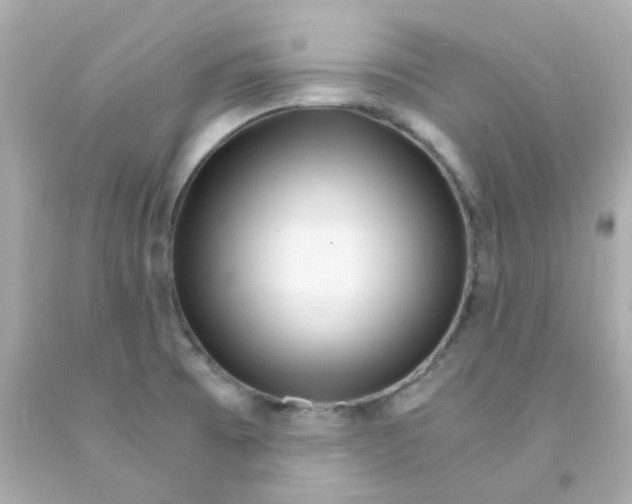 X0000093151473200710241352