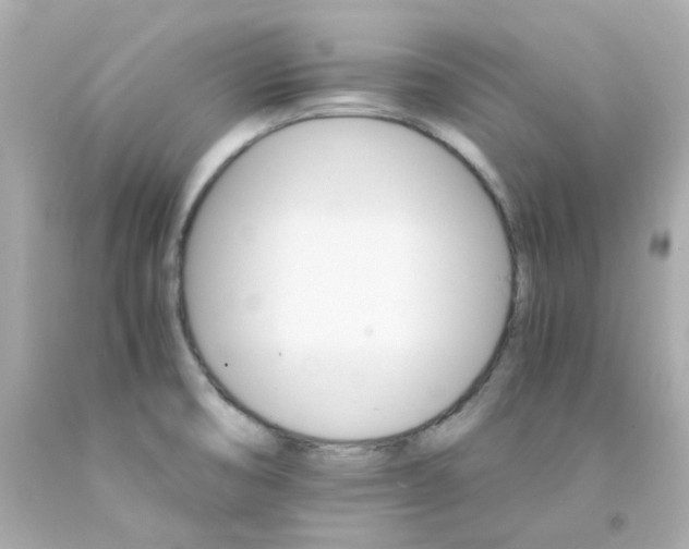 X0000093151474200710241352