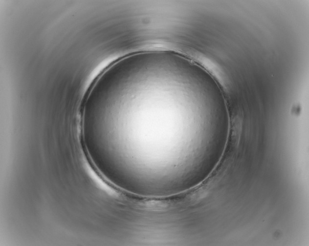 X0000093151476200710241352