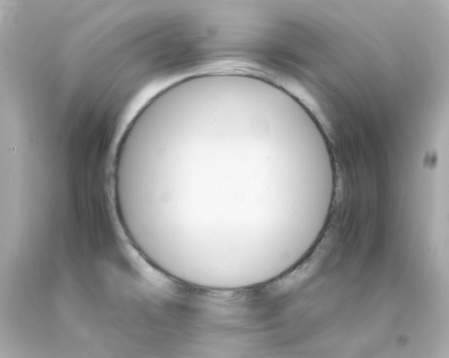 X0000093151478200710241352