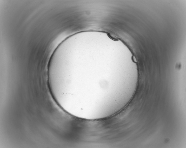 X0000093151479200710241352