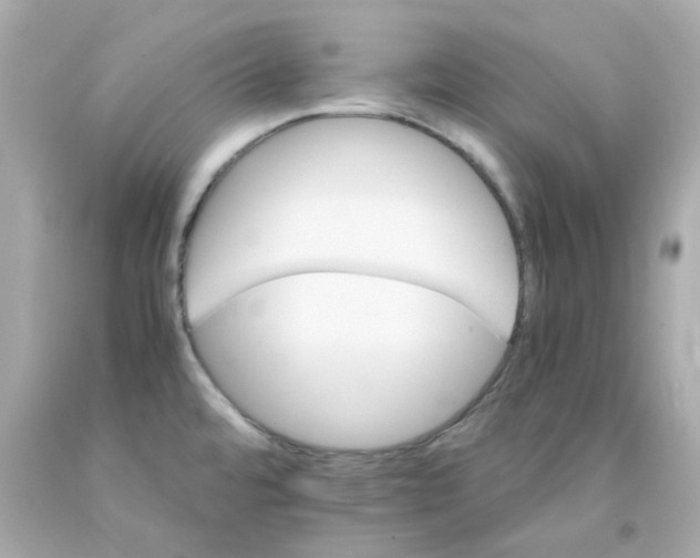 X0000093151480200710241352