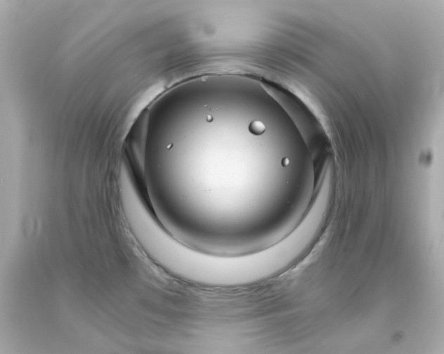 X0000093151481200710241352