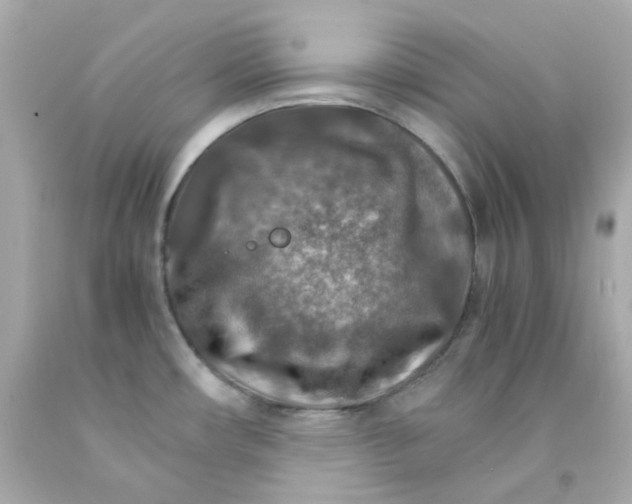 X0000093151482200710241352