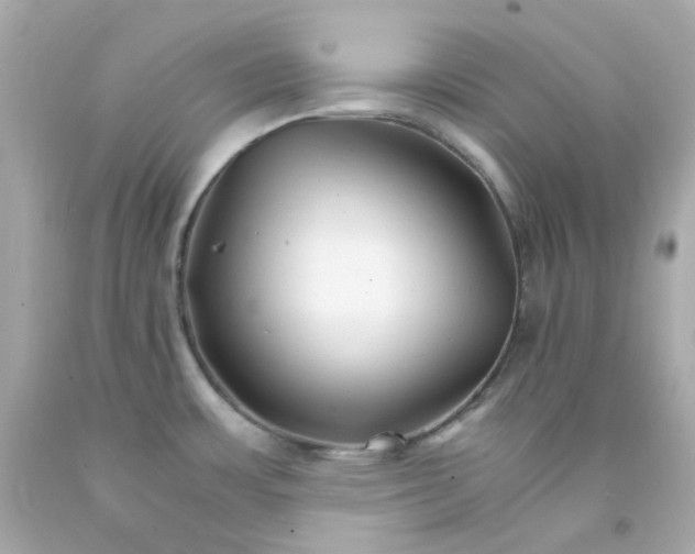 X0000093151483200710241352