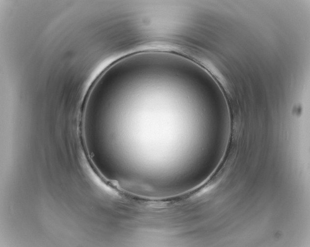 X0000093151484200710241352