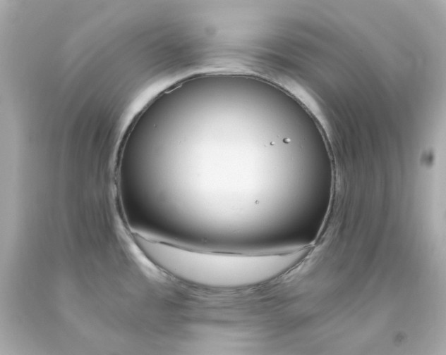 X0000093151485200710241352