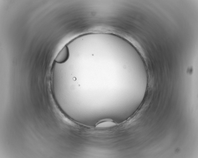 X0000093151486200710241352