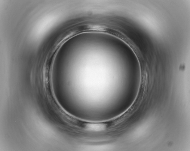 X0000093151487200710241352