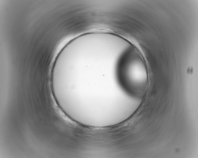 X0000093151488200710241352