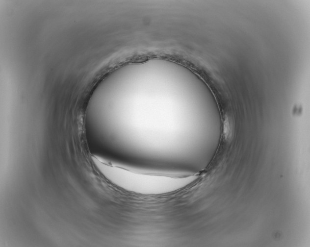 X0000093151492200710241352