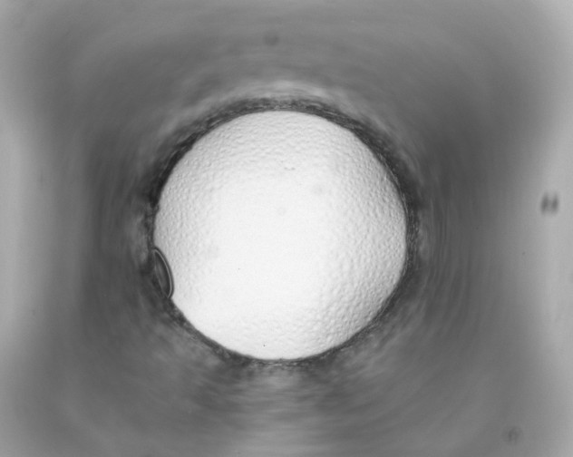 X0000093151493200710241352