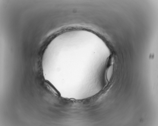 X0000093151494200710241352