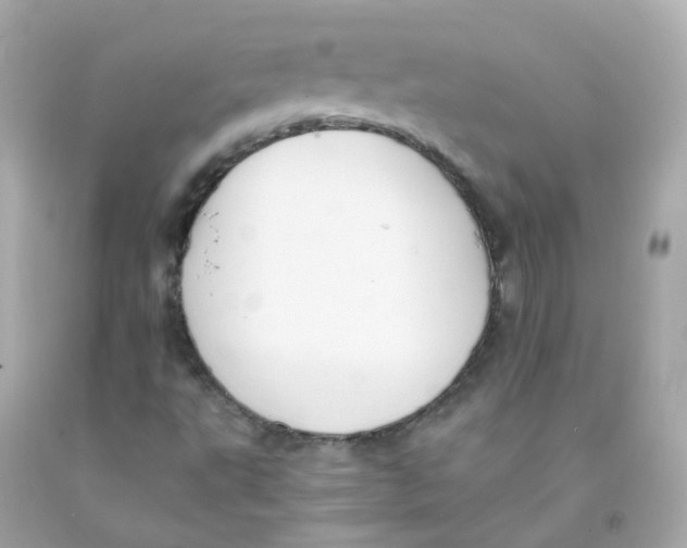 X0000093151495200710241352