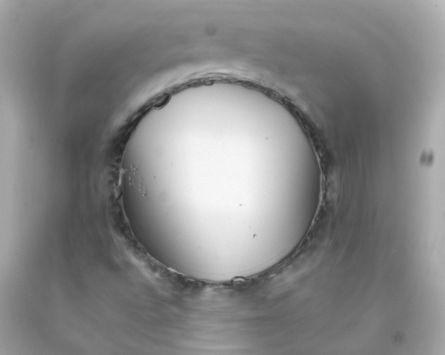 X0000093151496200710241352