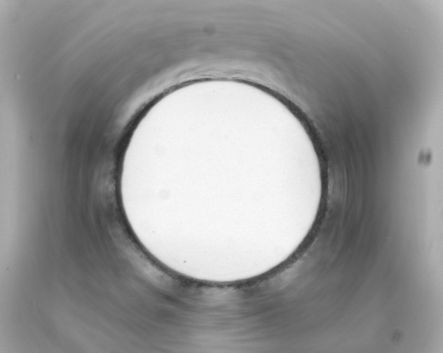 X0000093151498200710241352