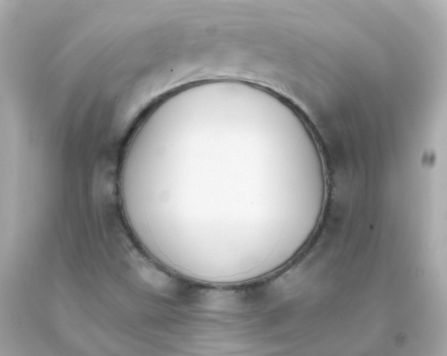 X0000093151499200710241352