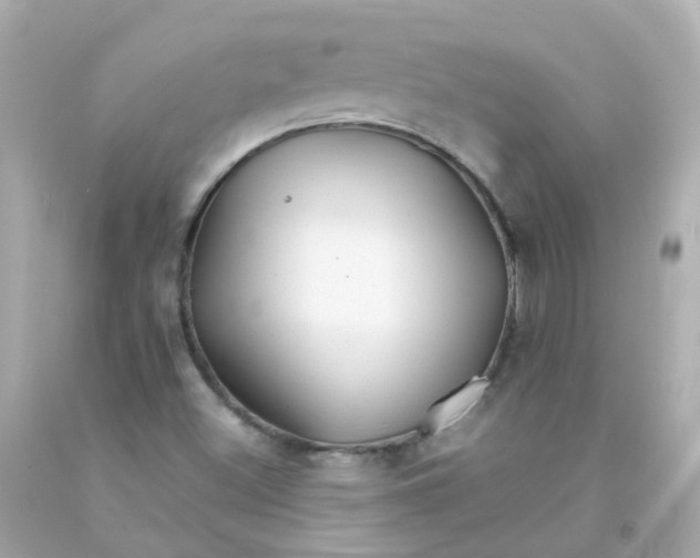 X0000093151500200710241352