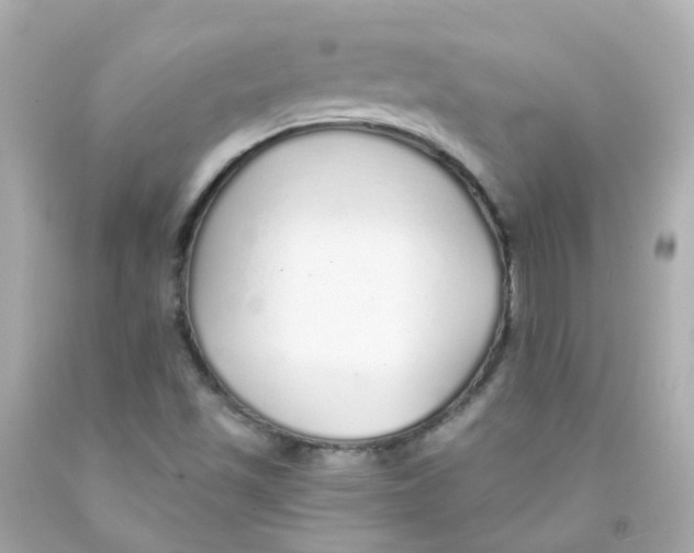 X0000093151501200710241352