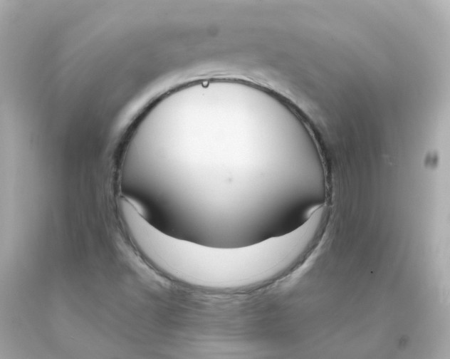 X0000093151502200710241352