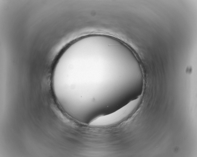 X0000093151503200710241352