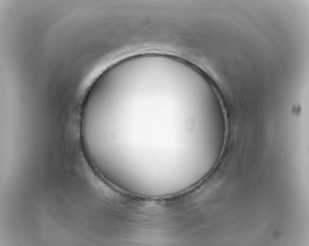 X0000093151504200710241352