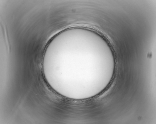 X0000093151505200710241352