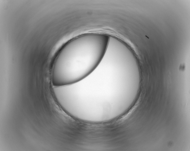 X0000093151506200710241352