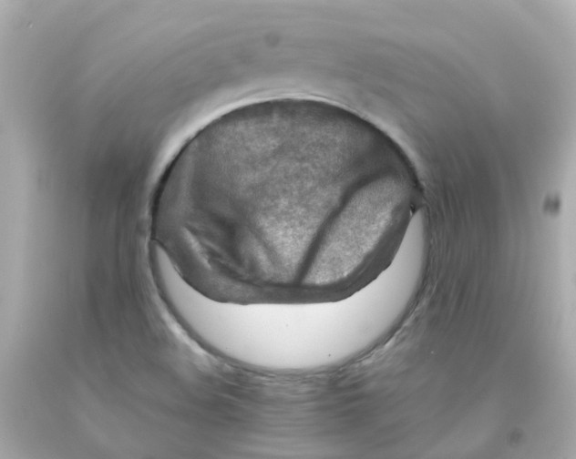 X0000093151508200710241352