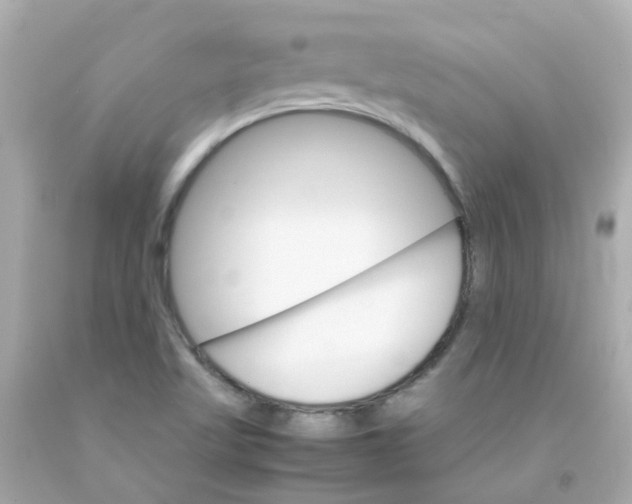 X0000093151509200710241352