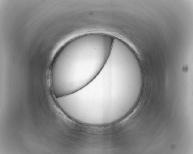 X0000093151510200710241352