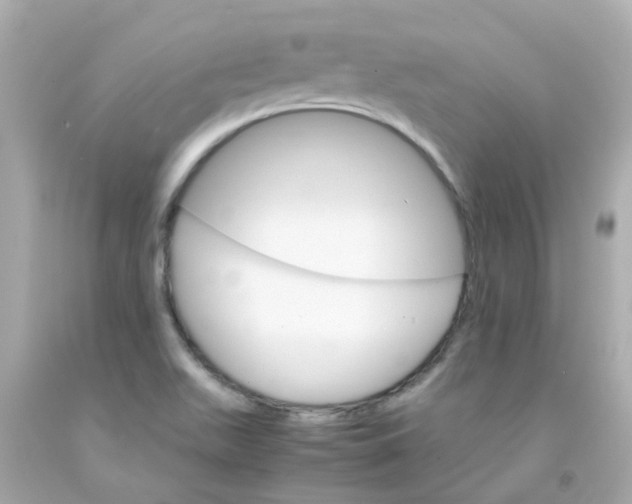 X0000093151511200710241352