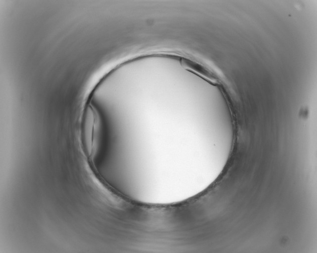 X0000093151512200710241352