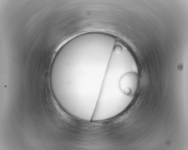 X0000093151513200710241352