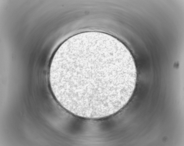 X0000093151514200710241352