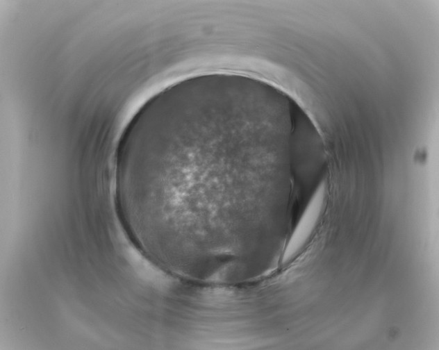 X0000093151515200710241352